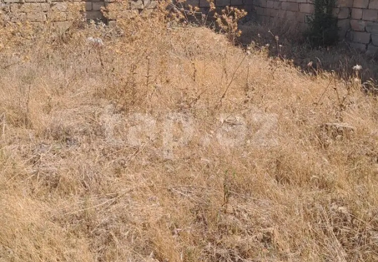 0 m² Obyekt / Ofis , Sabunçu, Bakı