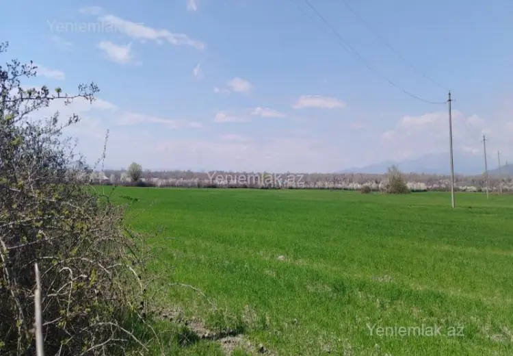 53 sot Torpaq Satılır, Qəbələ