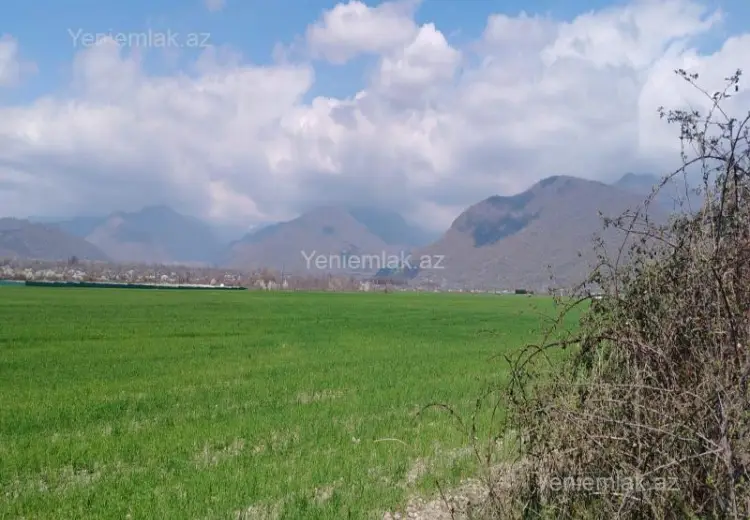 53 sot Torpaq Satılır, Qəbələ