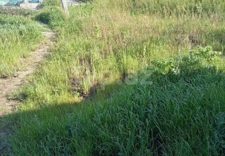 0 m² Obyekt / Ofis , Nardaran qəs., Sabunçu, Bakı
