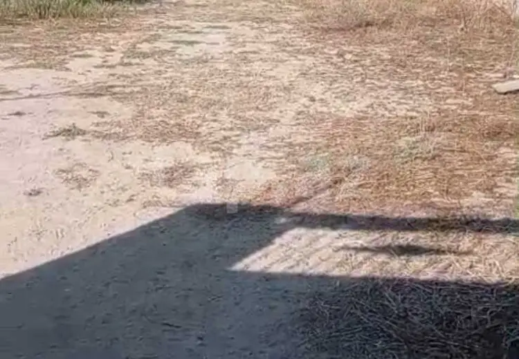 0 m² Obyekt / Ofis , Nardaran qəs., Sabunçu, Bakı