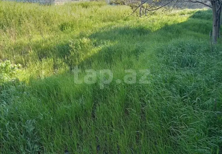 0 m² Obyekt / Ofis , Nardaran qəs., Sabunçu, Bakı