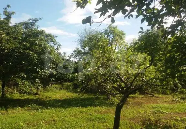 0 m² Obyekt / Ofis , Balakən