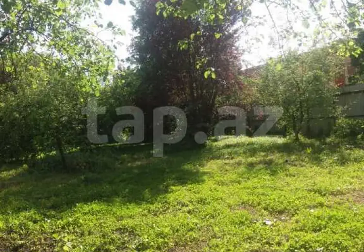 0 m² Obyekt / Ofis , Balakən