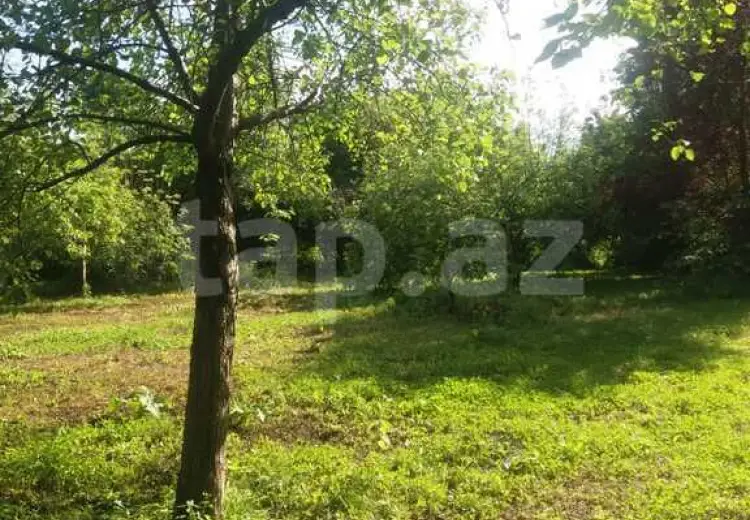 0 m² Obyekt / Ofis , Balakən