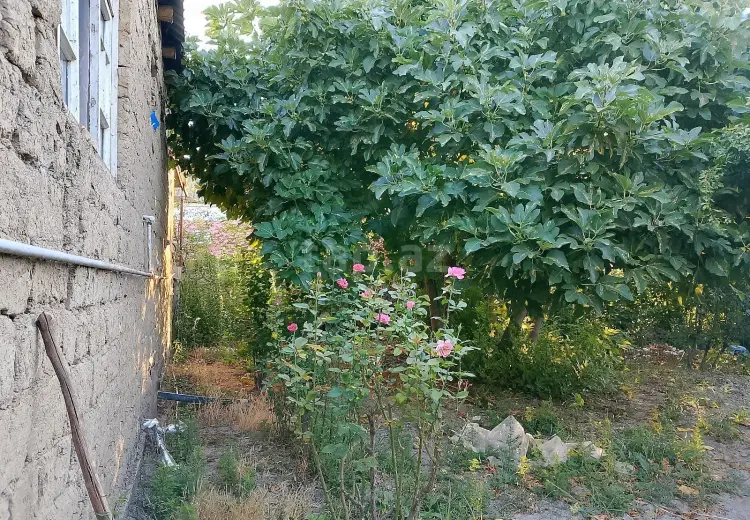 2 otaqlı mənzil , Xaçmaz