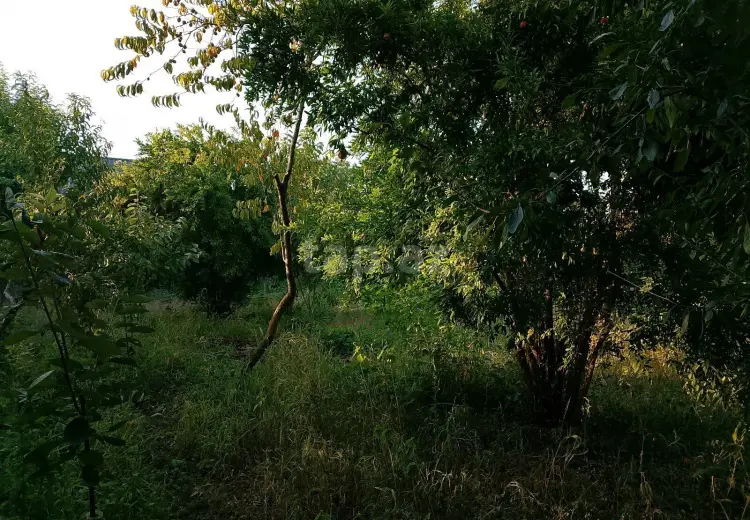 2 otaqlı mənzil , Xaçmaz