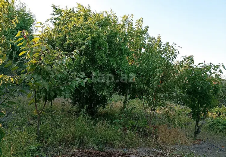2 otaqlı mənzil , Xaçmaz