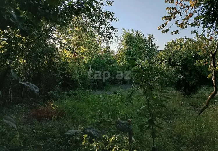 2 otaqlı mənzil , Xaçmaz