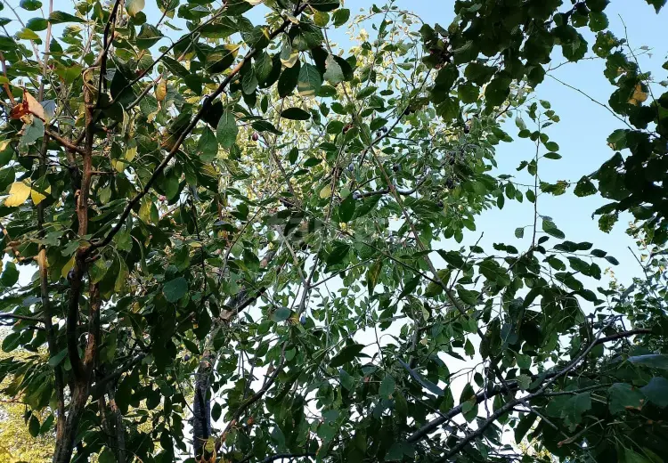 2 otaqlı mənzil , Xaçmaz