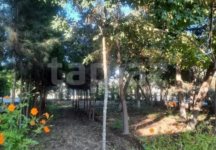 0 m² Obyekt / Ofis , Şirvan