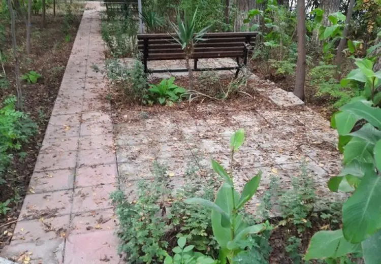 0 m² Obyekt / Ofis , Şirvan