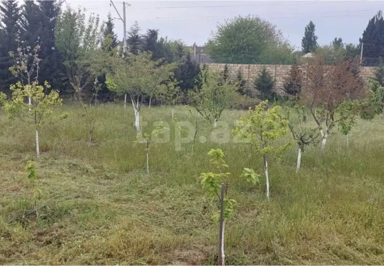 0 m² Obyekt / Ofis , Novxanı, Abşeron
