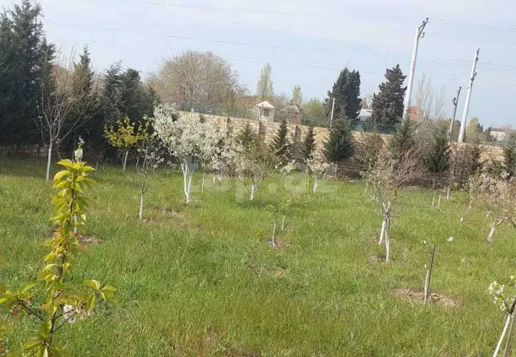 0 m² Obyekt / Ofis , Novxanı, Abşeron