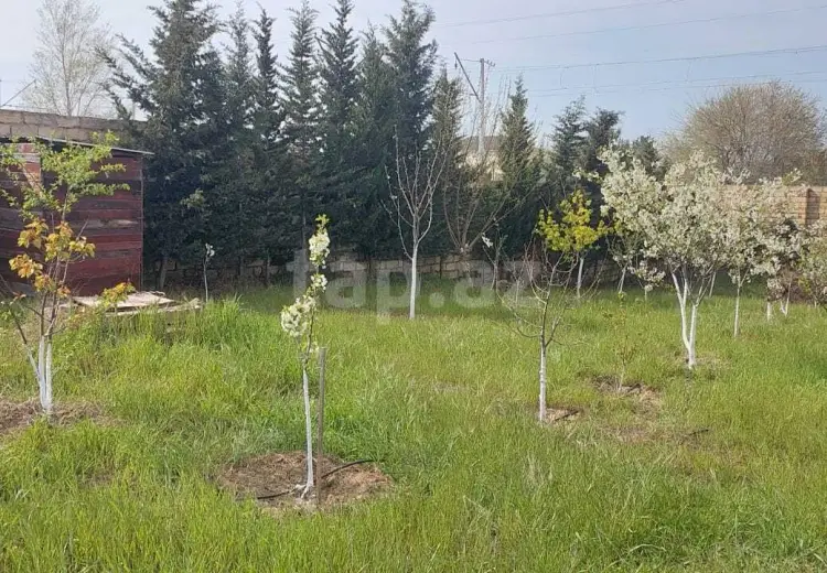 0 m² Obyekt / Ofis , Novxanı, Abşeron