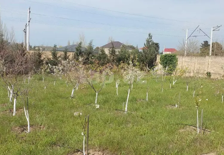0 m² Obyekt / Ofis , Novxanı, Abşeron