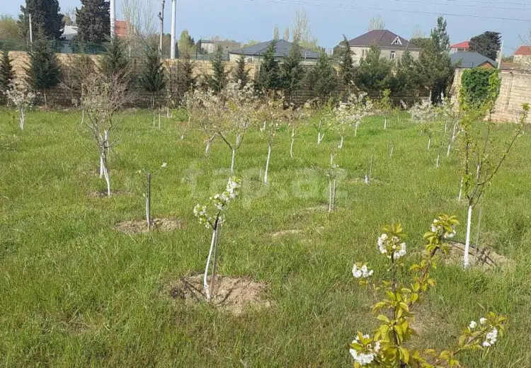 0 m² Obyekt / Ofis , Novxanı, Abşeron