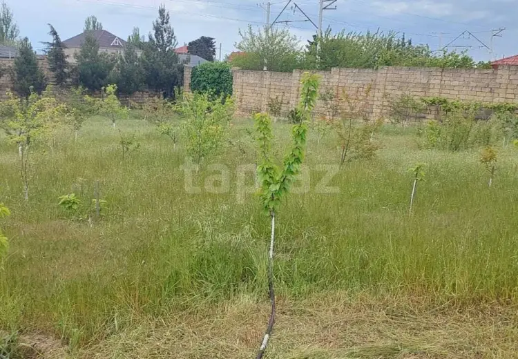 0 m² Obyekt / Ofis , Novxanı, Abşeron
