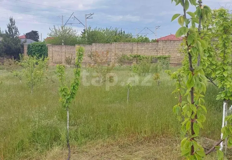 0 m² Obyekt / Ofis , Novxanı, Abşeron