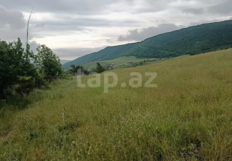 0 m² Obyekt / Ofis , Şamaxı