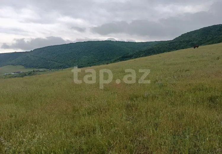 0 m² Obyekt / Ofis , Şamaxı