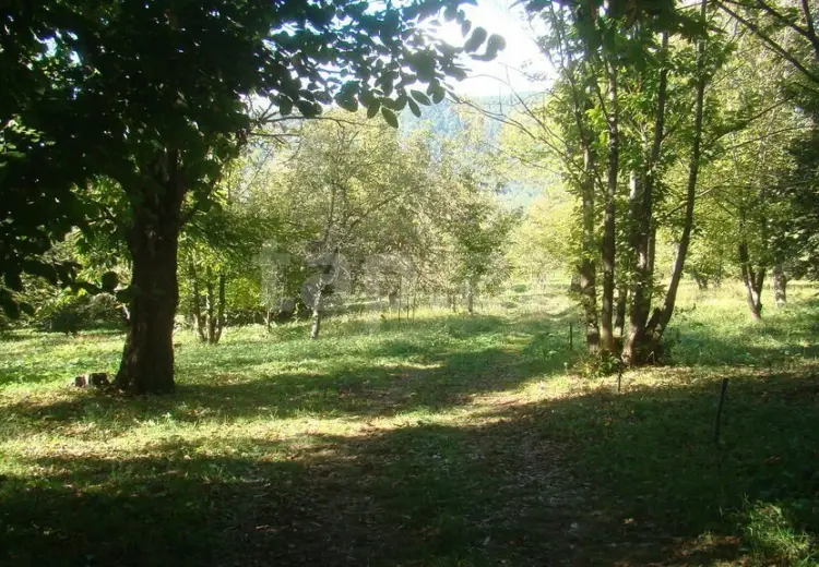 0 m² Obyekt / Ofis , Qəbələ