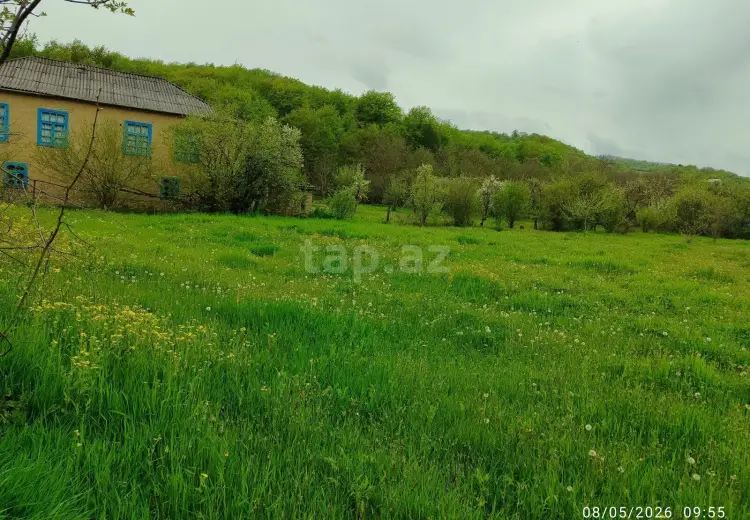 0 m² Obyekt / Ofis , Qusar