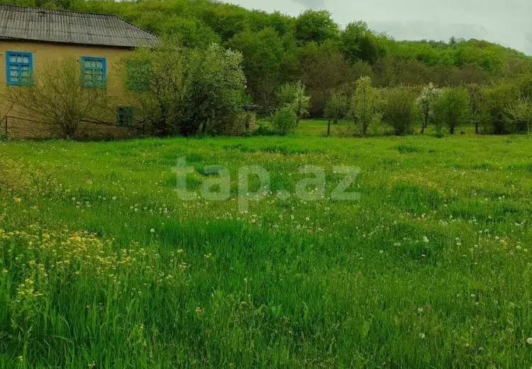 0 m² Obyekt / Ofis , Qusar