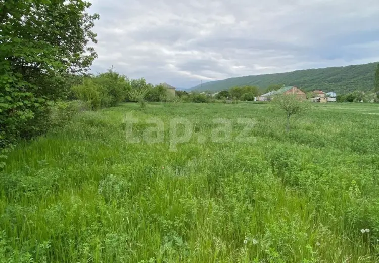 0 m² Obyekt / Ofis , Qusar