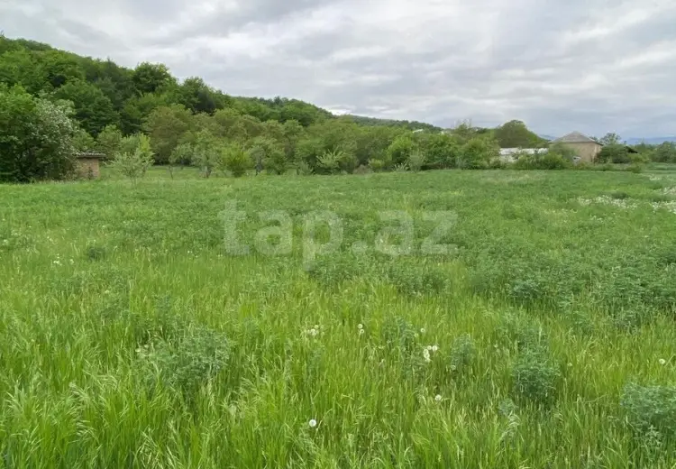 0 m² Obyekt / Ofis , Qusar