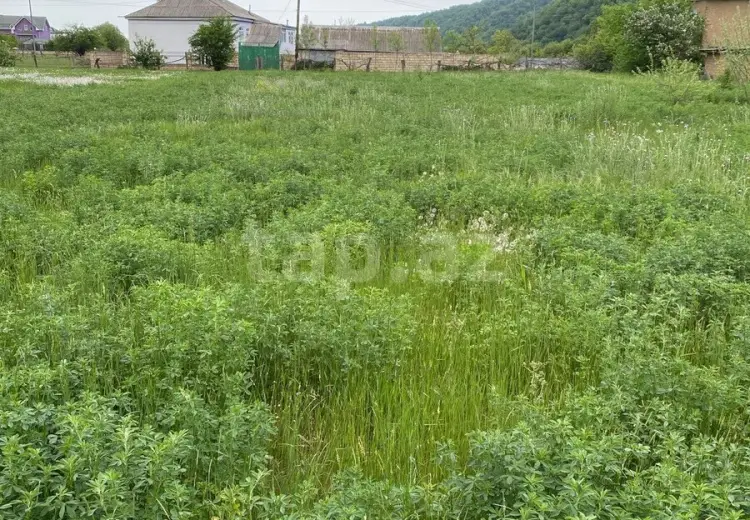 0 m² Obyekt / Ofis , Qusar