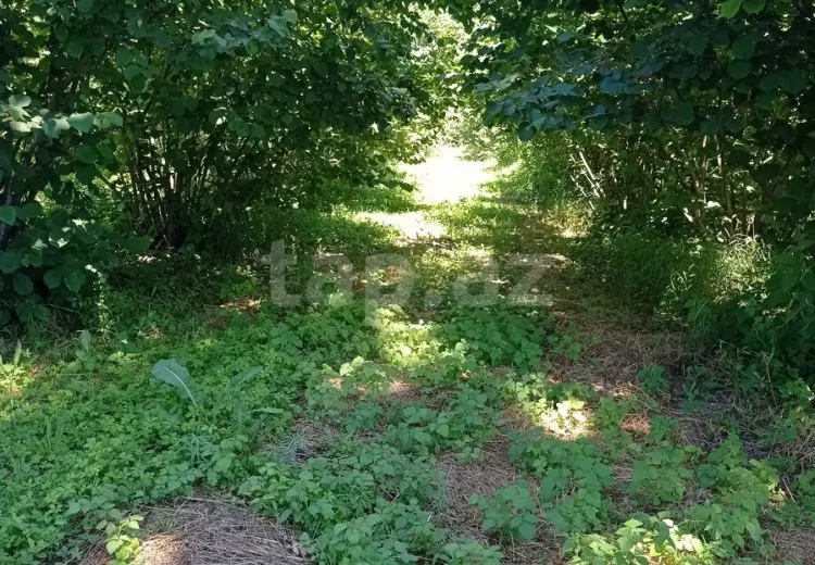 0 m² Obyekt / Ofis , Xaçmaz