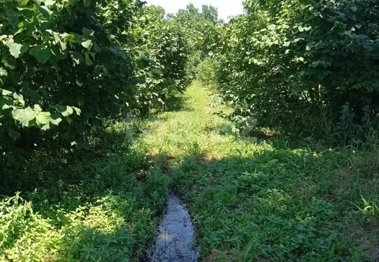 0 m² Obyekt / Ofis , Xaçmaz