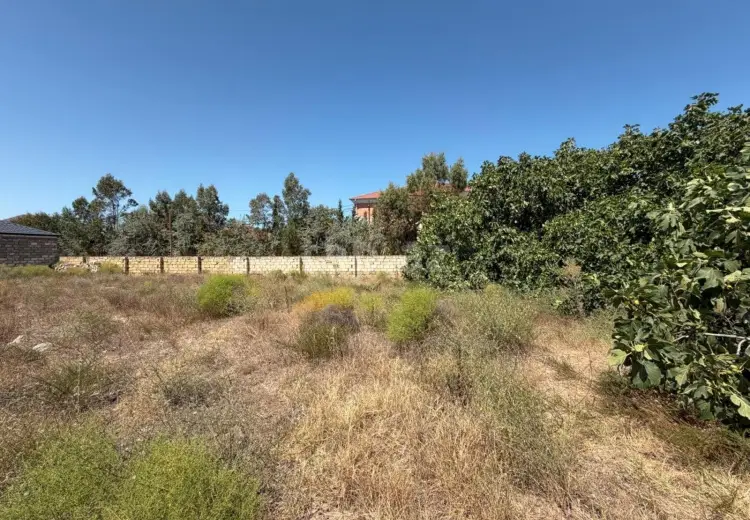 0 m² Obyekt / Ofis , Bilgəh qəs., Sabunçu, Bakı