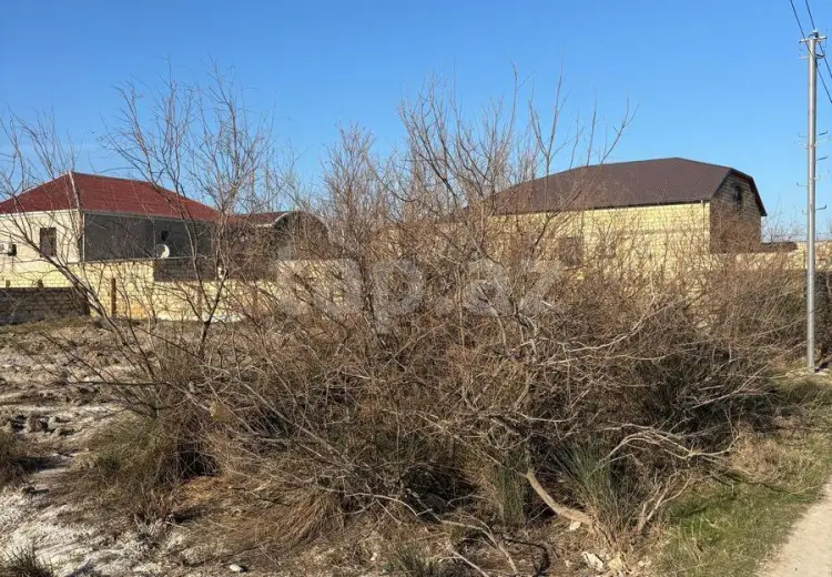 0 m² Obyekt / Ofis , Saray, Abşeron