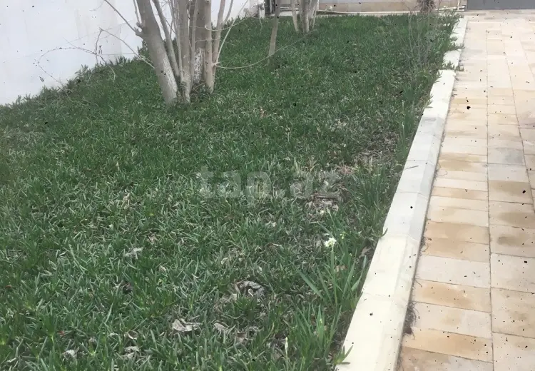 0 m² Obyekt / Ofis , Nardaran qəs., Sabunçu, Bakı