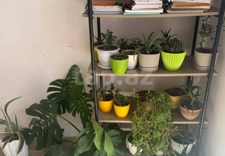 0 m² Obyekt / Ofis , Zabrat qəs., Sabunçu, Bakı