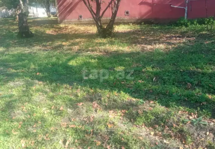 0 m² Obyekt / Ofis , Oğuz
