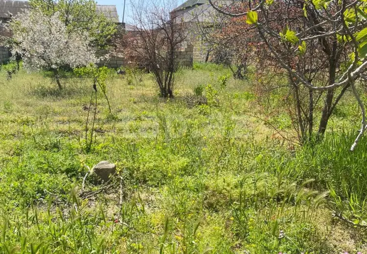 0 m² Obyekt / Ofis , Bakı