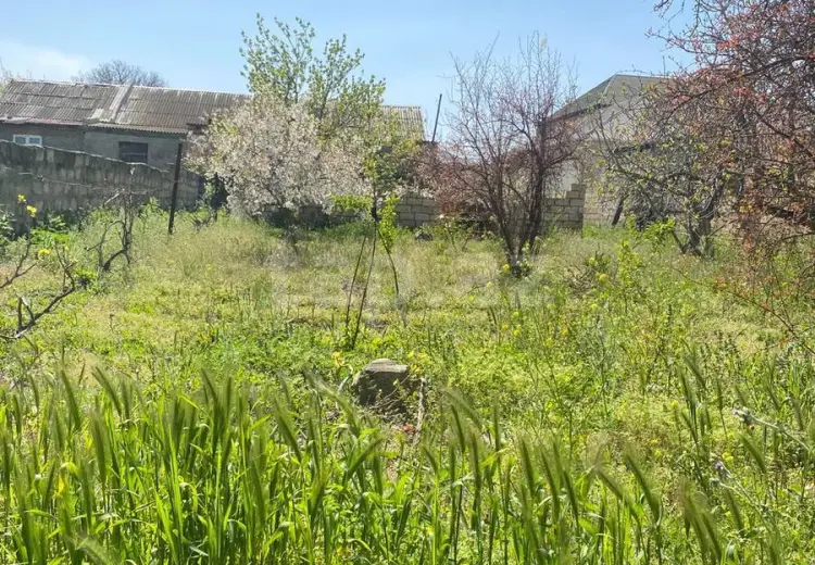 0 m² Obyekt / Ofis , Bakı