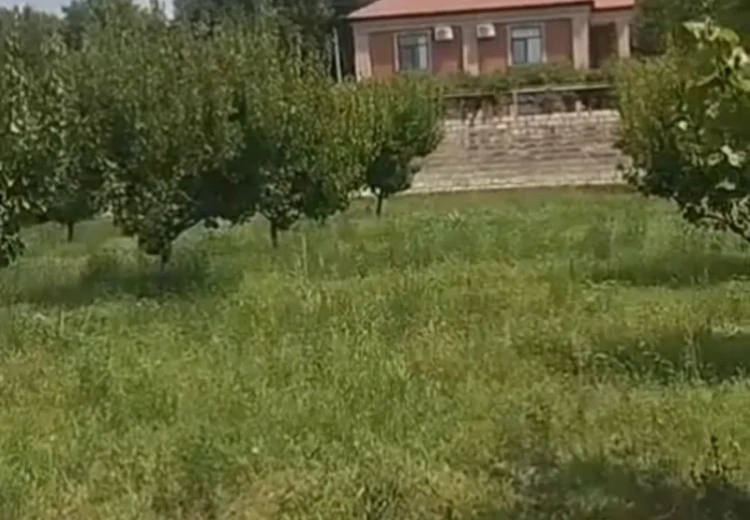 12 sot Torpaq Satılır, Ağstafa