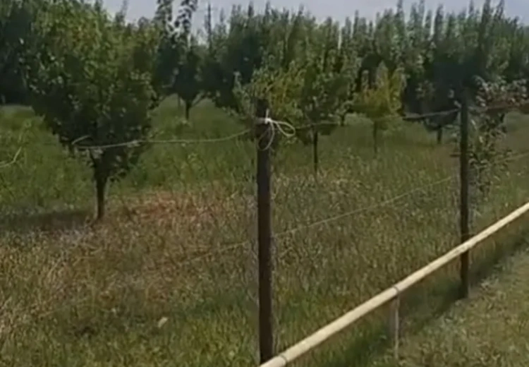 12 sot Torpaq Satılır, Ağstafa