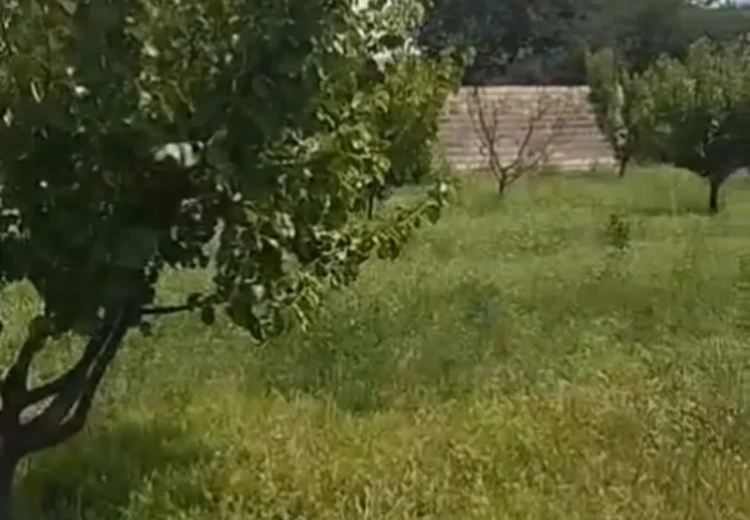 12 sot Torpaq Satılır, Ağstafa
