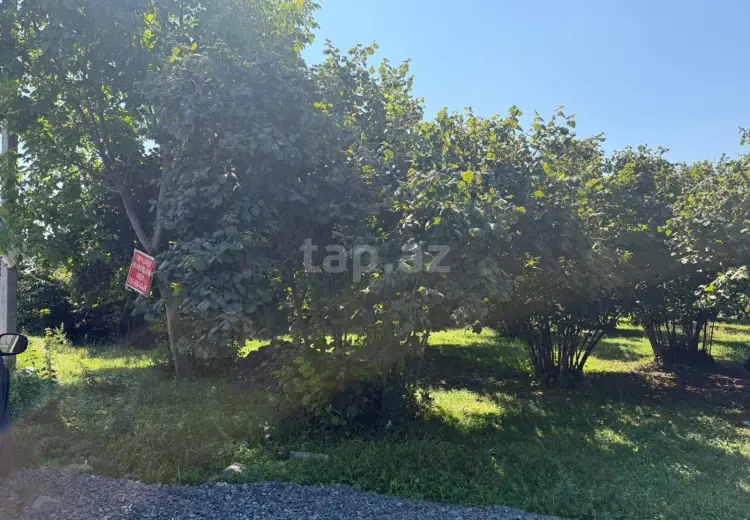 0 m² Obyekt / Ofis , Zaqatala