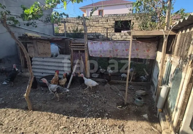 2 otaqlı mənzil , Saray, Abşeron