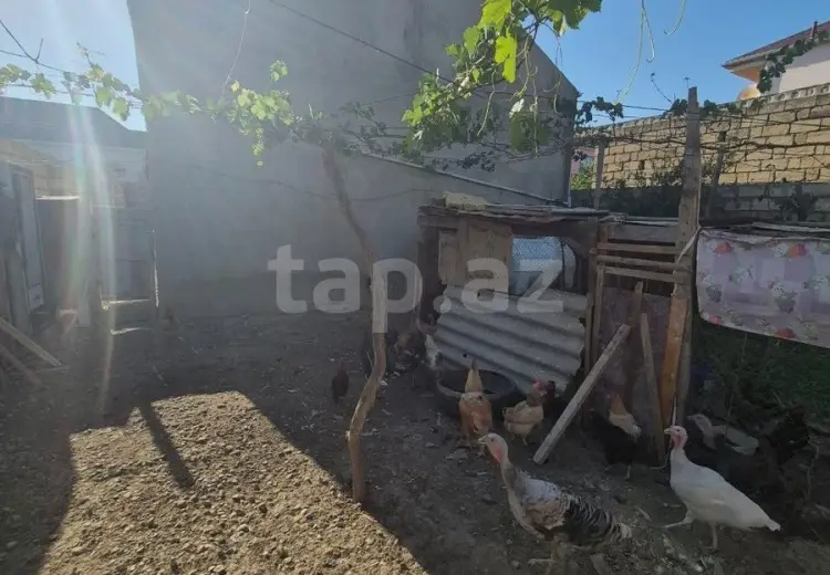 2 otaqlı mənzil , Saray, Abşeron