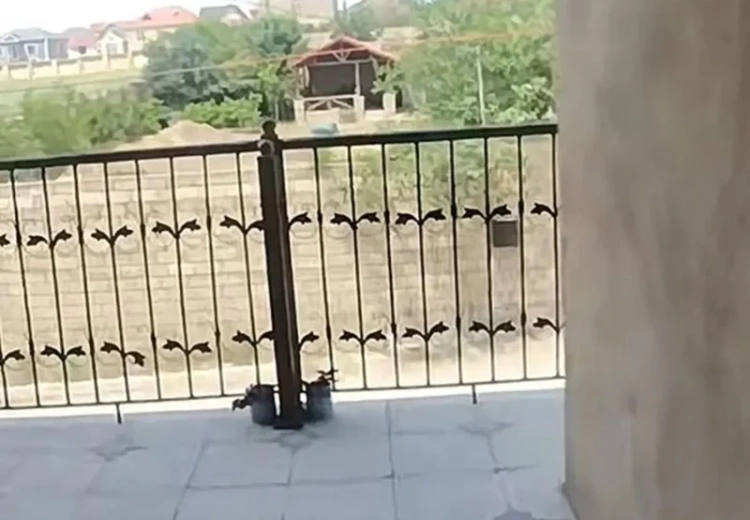 7 otaqlı mənzil Satılır, Bakı