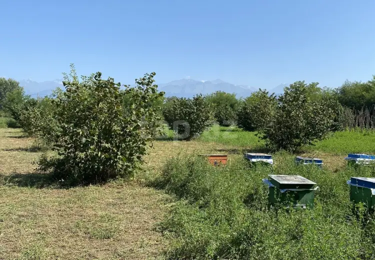 0 m² Obyekt / Ofis , Oğuz