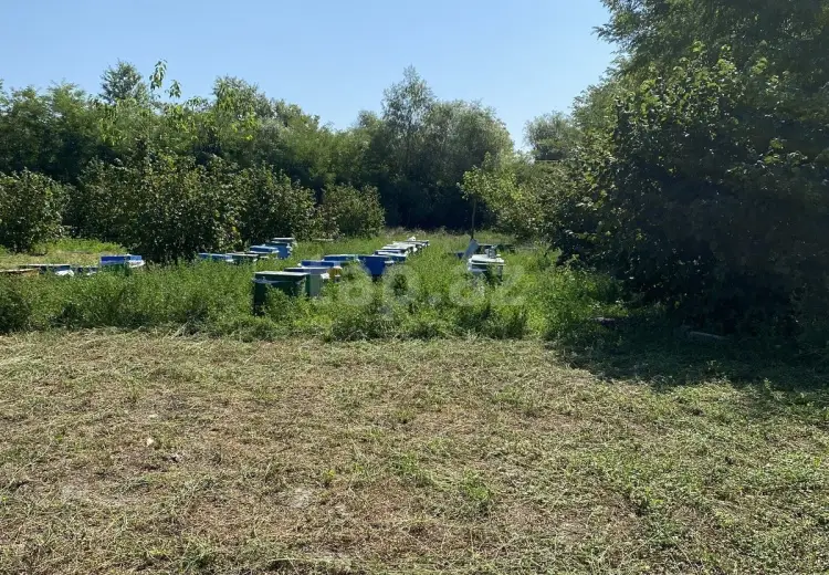 0 m² Obyekt / Ofis , Oğuz
