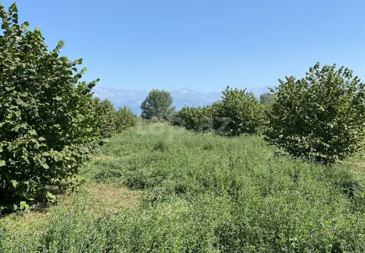 0 m² Obyekt / Ofis , Oğuz